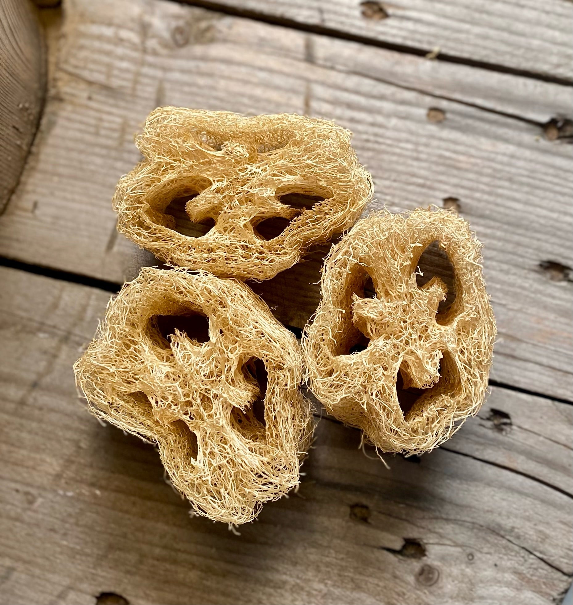 Natural Loofah Sponge