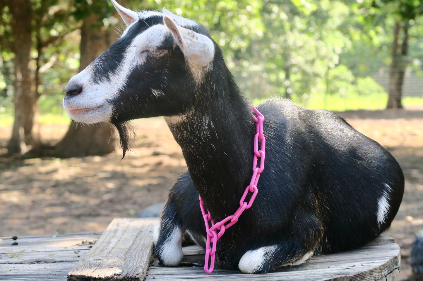 Peppermint Goat Milk Soap Bar