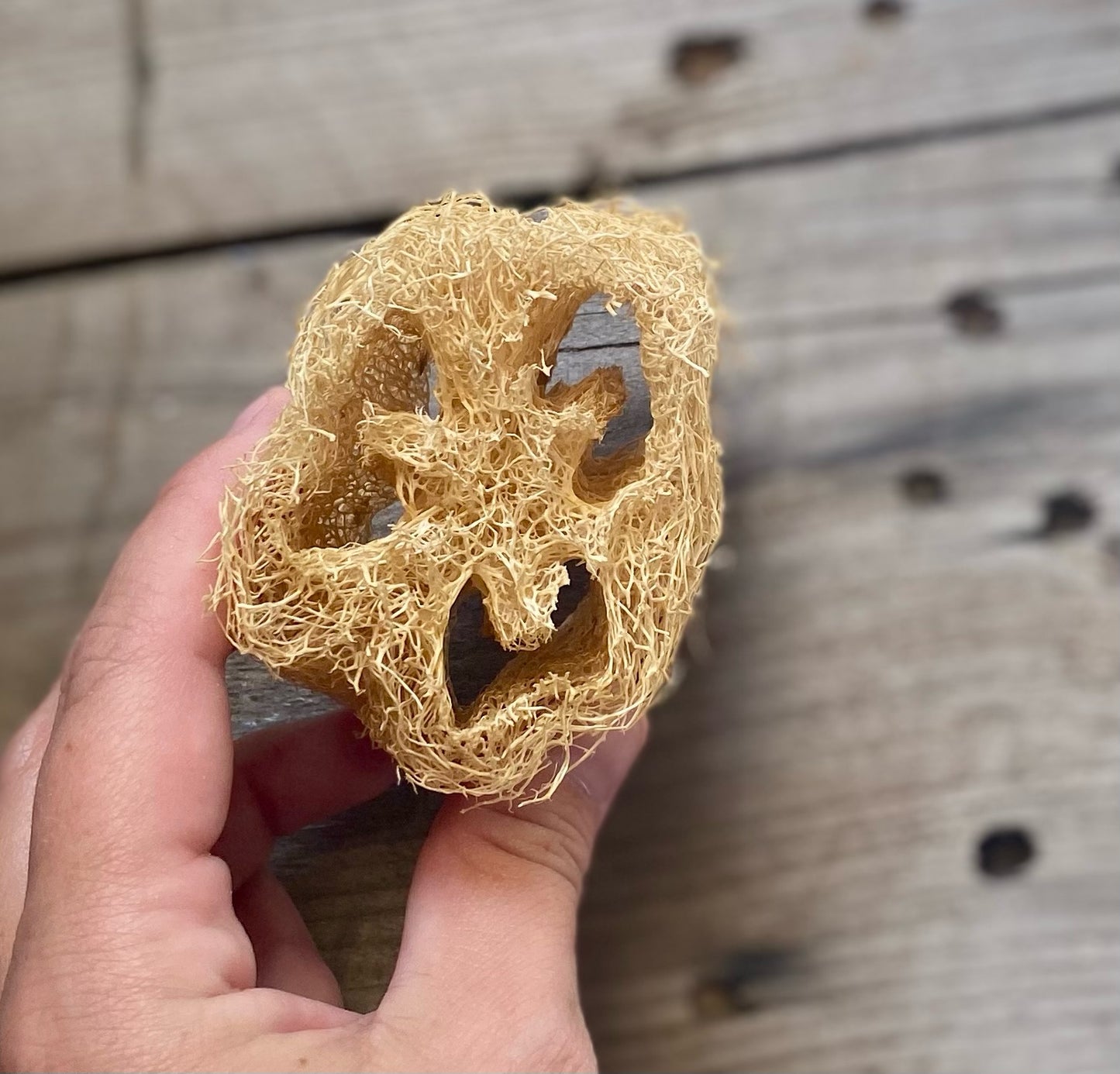 Natural Loofah Sponge