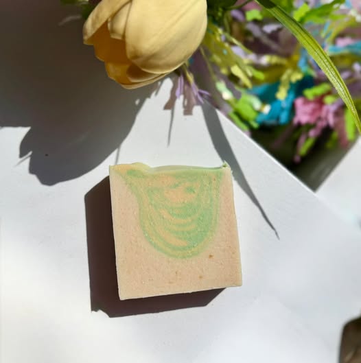 Past Soap of the Month — Limited Edition Collection